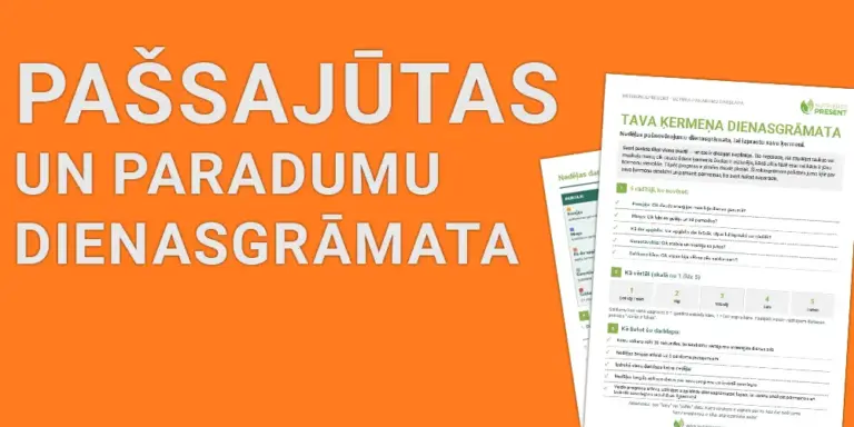 Uztura pamatu dienasgrāmata